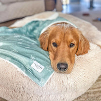 Earthy Boho Sage Dog Blanket