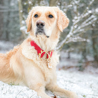 1.5" Waterproof Slip Collar