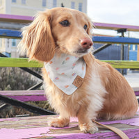 Tulip Field Bandana