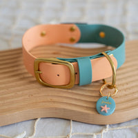 1.5" Fi Compatible Waterproof Classic Collar
