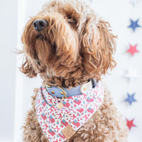 Red Woof and Blue Bandana