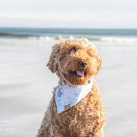 Shimmering Shores Bandana