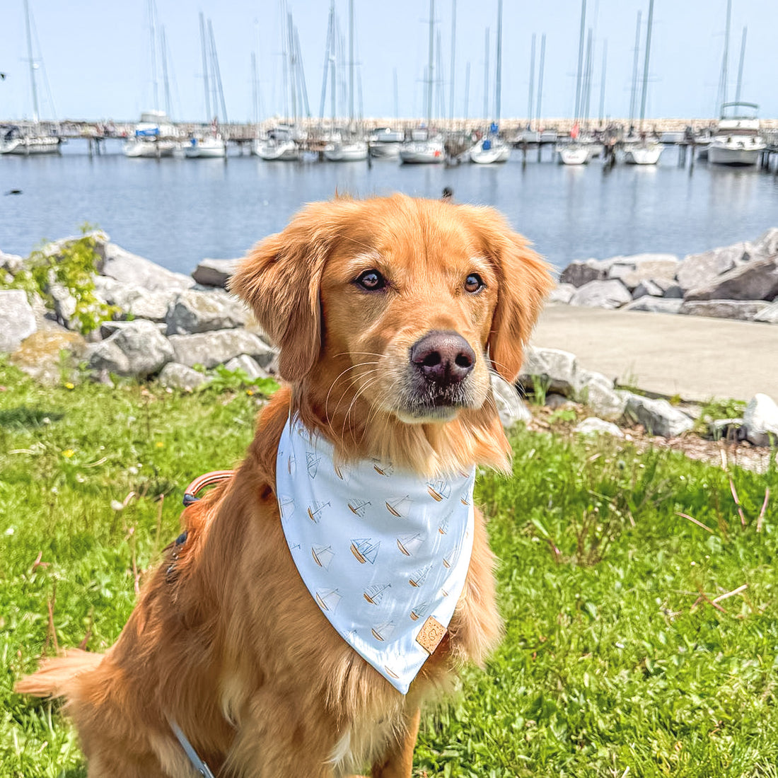 Nautical Dreams Bandana