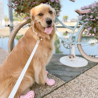 Two-Tone Waterproof Dog Leash