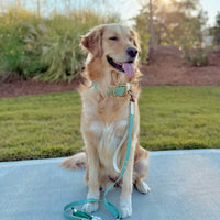 Two-Tone Waterproof Dog Leash