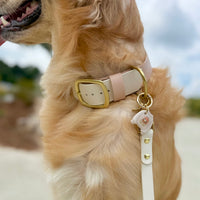 1.5" Two-Tone Waterproof Classic Buckle Dog Collar