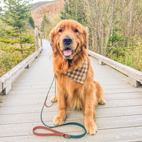 Two-Tone Waterproof Dog Leash