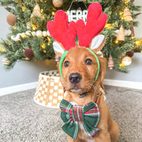 Evergreen Plaid Flannel Sailor Bow