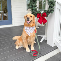 Two-Tone Waterproof Dog Leash