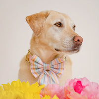 Spring Sorbet Sailor Bow
