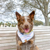 Spring Sorbet Bandana