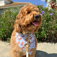 Blue Gingham Doodle Bandana