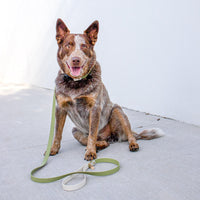 Two-Tone Waterproof Dog Leash