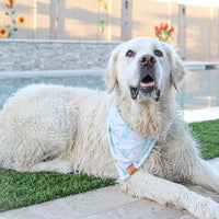 Aloha Turtles Bandana