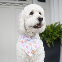 Ice Cream Bandana