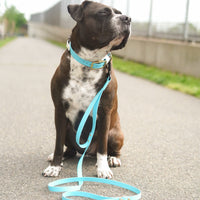 Standard Waterproof Dog Leash