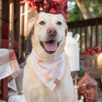 Pumpkin Season Bandana