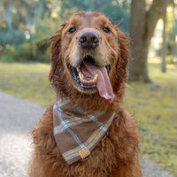 Mountain Morning Flannel Bandana