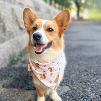 Fall Squirrels Bandana