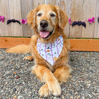 Boo & Bows Bandana
