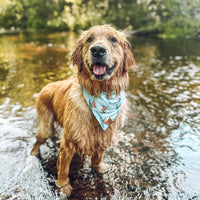 Quick Dry Seaside Adventure Bandana