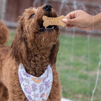 Quick Dry Under The Sea Bandana