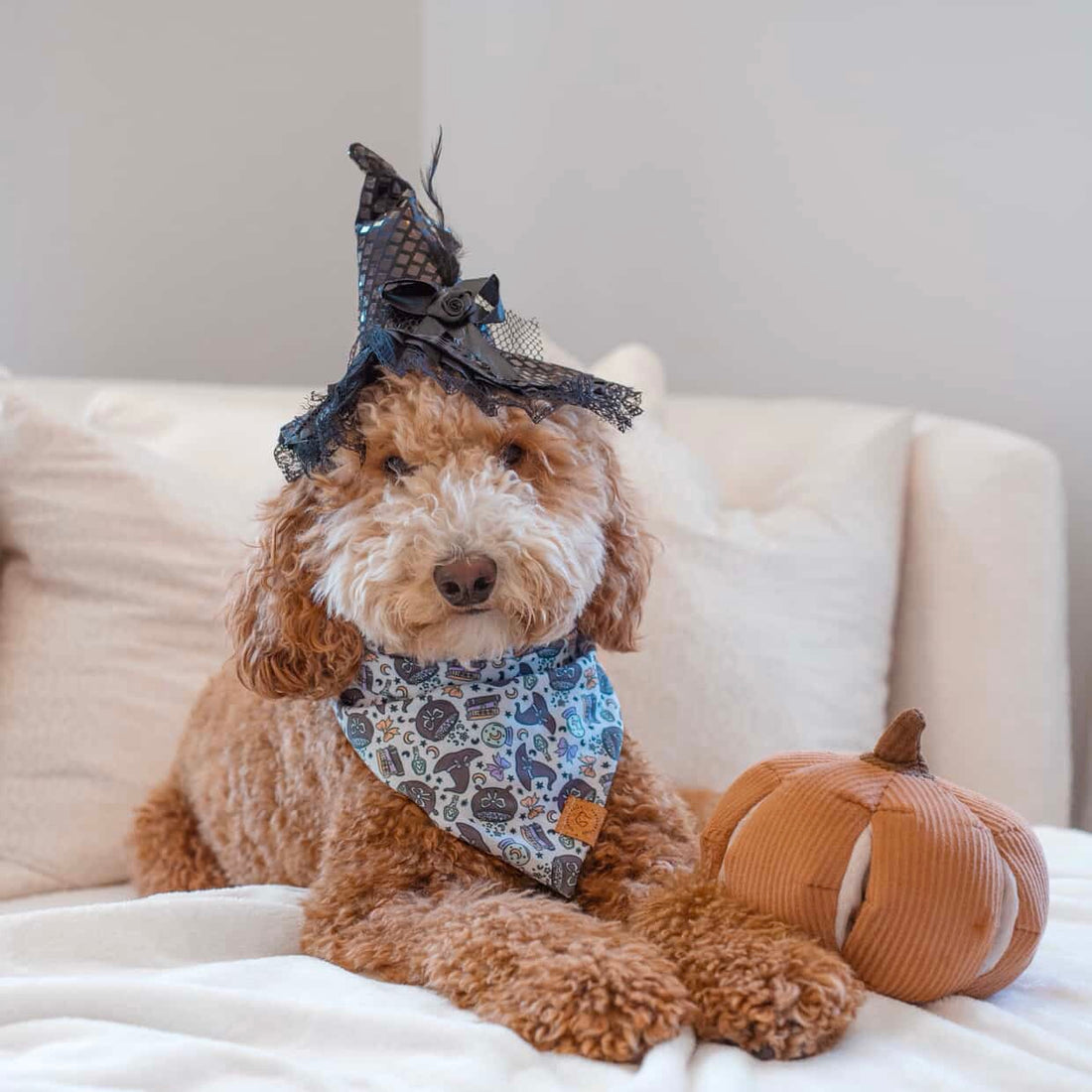 Witchy Spell Bandana