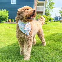 Quick Dry Sunny Shore Bandana