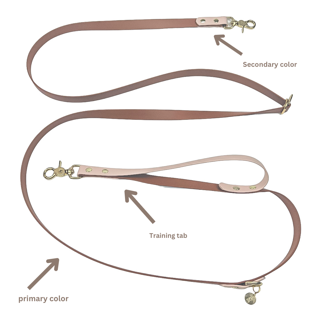 Two-Tone Hands-Free Waterproof Dog Leash