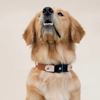 Fi Compatible Waterproof Non-Adjustable Quick Release Collar