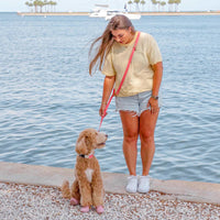 Standard Waterproof Hands-Free Dog Leash