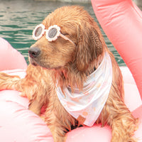 Summertime Bandana