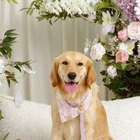 Spring Bouquet Bandana