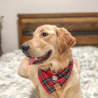 Christmas Magic Flannel Bandana