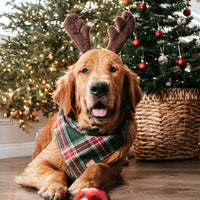 Jingle Bell Flannel Bandana
