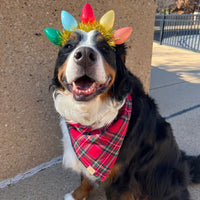 Christmas Magic Flannel Bandana
