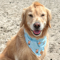 Quick Dry Seaside Adventure Bandana