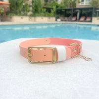 Two-Tone Waterproof Classic Buckle Dog Collar