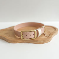 Waterproof Classic Buckle Dog Collar