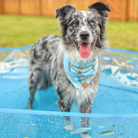 Quick Dry Seaside Adventure Bandana