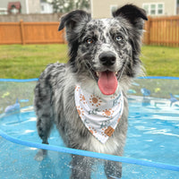 Quick Dry Sunny Shore Bandana