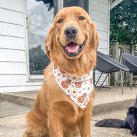 Golden Pumpkin Patch Bandana