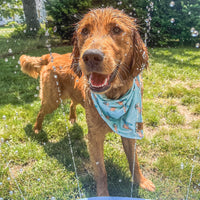 Quick Dry Seaside Adventure Bandana