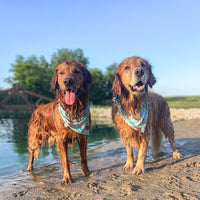 Quick Dry Seaside Adventure Bandana