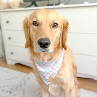 Freedom Checks Bandana