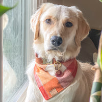 Pumpkin Spice Flannel Bandana