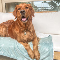 Earthy Boho Sage Dog Blanket