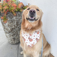 Golden Pumpkin Patch Bandana