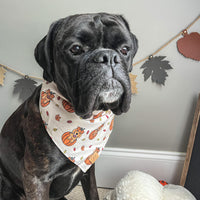 Golden Pumpkin Patch Bandana