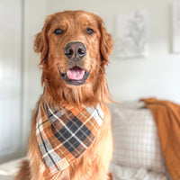 Warm Walnut Flannel Bandana